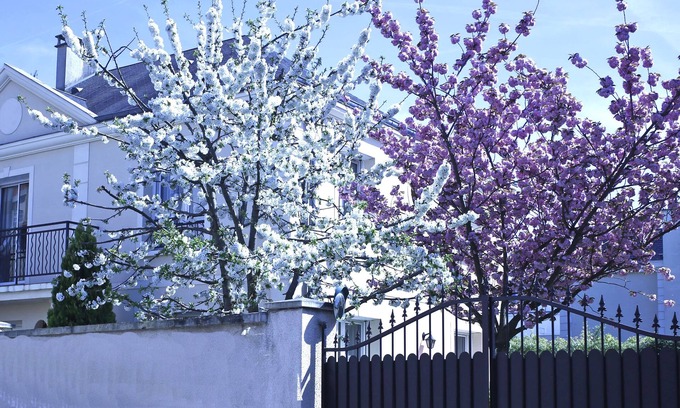 Nogent Village House | SUPERB HOUSE NEAR PARIS and DISNEYLAND