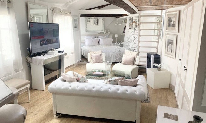 Quartier de la Monnaie Apartment | Superbe Loft St Germain Des. Pres