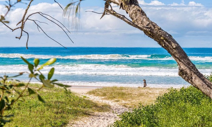 Pottsville House | Surfside Beach House - Ideal Fam