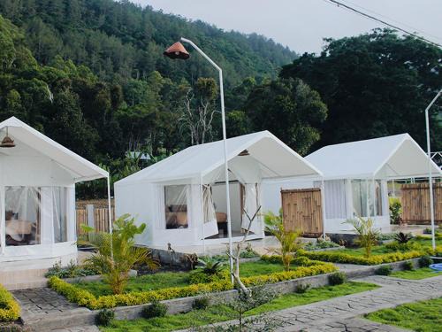 Kintamani Other | Surya Camp Buahan