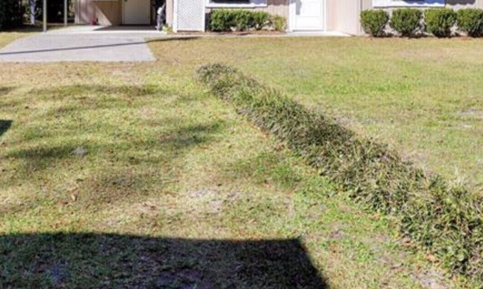 Old Town House | Suwannee River House