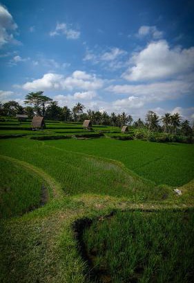 Sebatu Other | Swaha Retreat & Eco Park Ubud