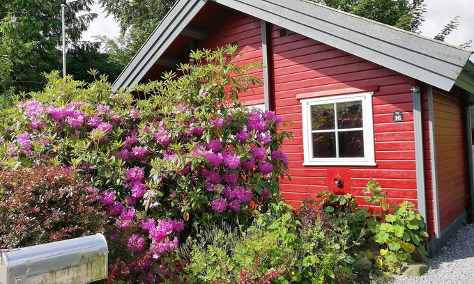 Geel House | Sweden cozy house near Brodersby/Missunde