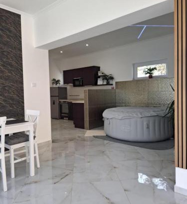Fonyod Apartment | Sweethome12