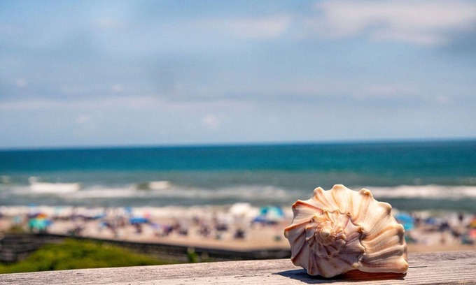 Emerald Isle Condo | "SweetWater" ~ 1302 Queens Court ~ 1Bd/1Ba Top Floor Oceanfront Condo ~ Elevator