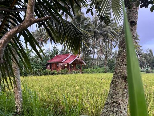 Tetebatu House | Syaqila Homestay Lombok