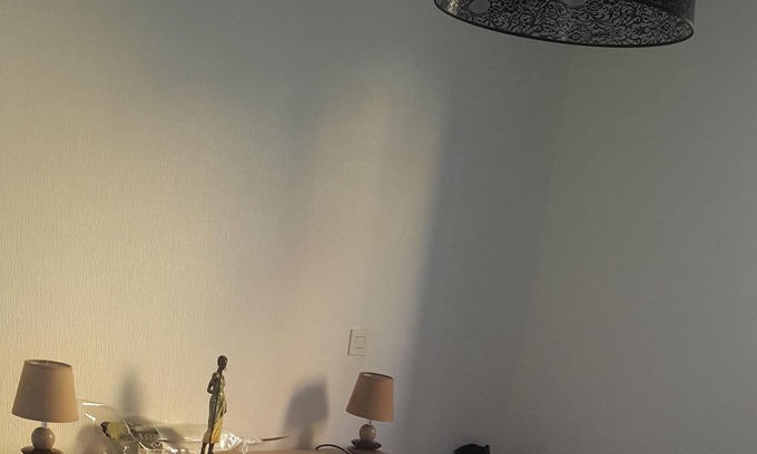 Centre Ville Bed & Breakfast | T3, calm in the city center of Pau
