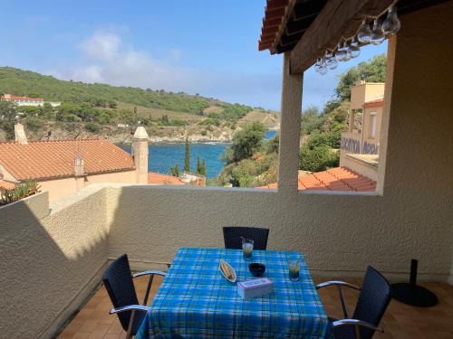Banyuls-sur-Mer Apartment | T3 PIEDS DANS L'EAU CLIM WIFI TERRASSE VUE MER