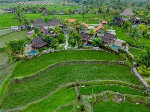 Sebatu Resort | Taksu Sebatu Villa