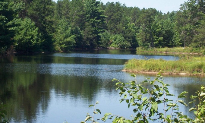 Black River Falls House | Tall Pines Lodge- Cottages On Serenity Lake- Sitting on 80 Acres Of Wildlife!