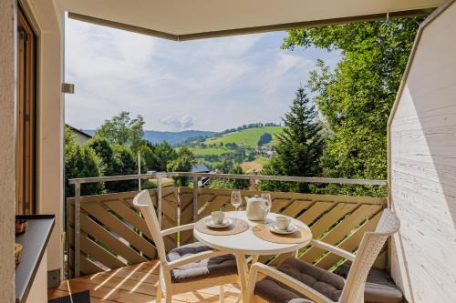 Todtnauberg Apartment | TANNWÄLDCHEN Wanderparadies vor der Tür Balkon mit Traumblick Sauna im Haus Tiefgarage E-Ladestation