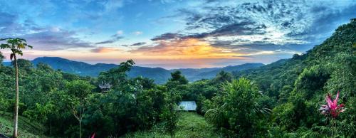 Santa Marta Cabin | Taorayiná nature lodge- immersed in the forest