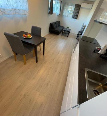 Bryn Apartment | Temis apartment, private new 1 bed room and 1 living room with sofa bed and lagre kitchen, share with nobody