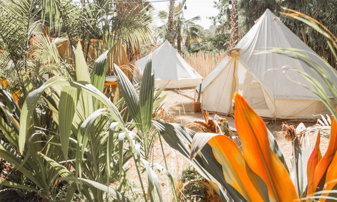 Todos Santos RV Rental | Tent 2 · Cien Palmas - Glamping Tent 2 - Downtown