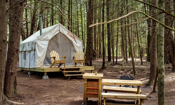 Kauneonga Lake RV Rental | Tentrr Signature Site - Purple Haze at the Tentrr Catskill Retreat - Single Camp