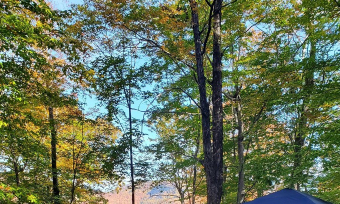 Lake Hill RV Rental | Tentrr Signature Site - Shady Knolls