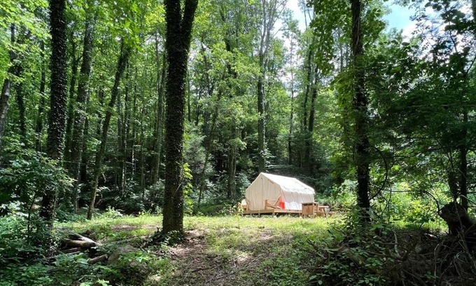 Swannanoa Other | Tentrr Signature Site - Summer Haven Campsite #2