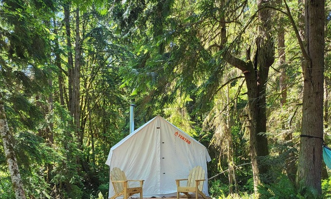 Arlington RV Rental | Tentrr Signature Site - Fern Gully Site 1