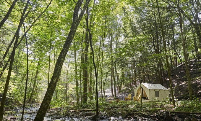 Delancey RV Rental | Tentrr Signature Site - Huntley Hollow Brook