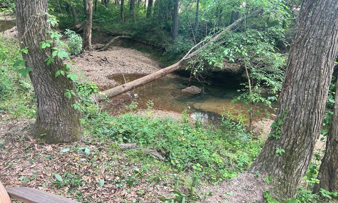 Florence RV Rental | Tentrr Signature Site - Stargazing at Hidden Creek