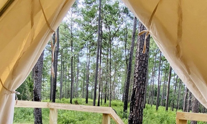 Talisheek RV Rental | Tentrr State Park Site - Louisiana Bogue Chitto State Park - Gorge Trail N - Sin