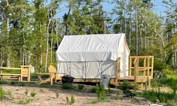Lake Charles RV Rental | Tentrr State Park Site - Louisiana Sam Houston Jones State Park - Lagoon View E