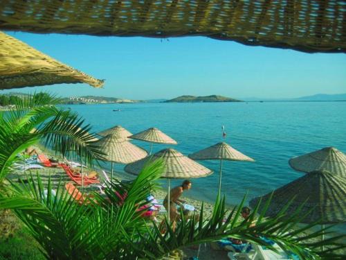 Foca House | Teras Motel