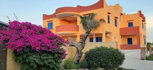 Il Monte Apartment | Terra e colori