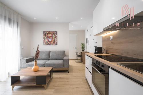 Thessaloniki Apartment | Terra Suites, Nilie Hospitality MGMT