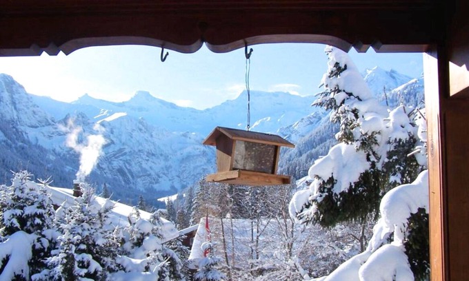 Adelboden Ski Chalet | Terrasse und Garten