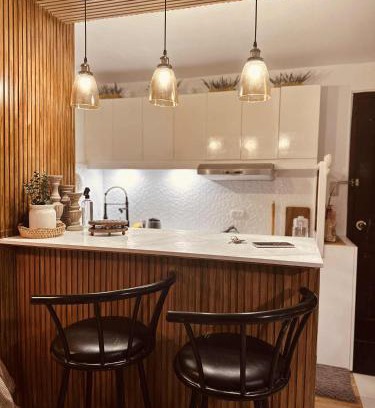 Pasig Apartment | Terravive