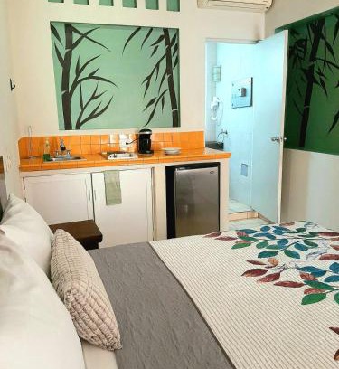 Downtown Cabo San Lucas Apartment | Terraza studios Apartment