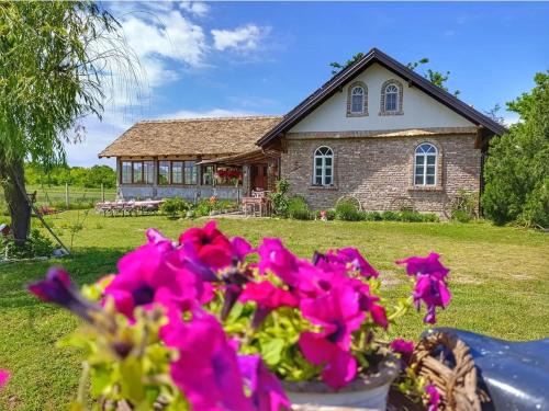 Novi Sad House | Tetrebov salas in the peaceful fields