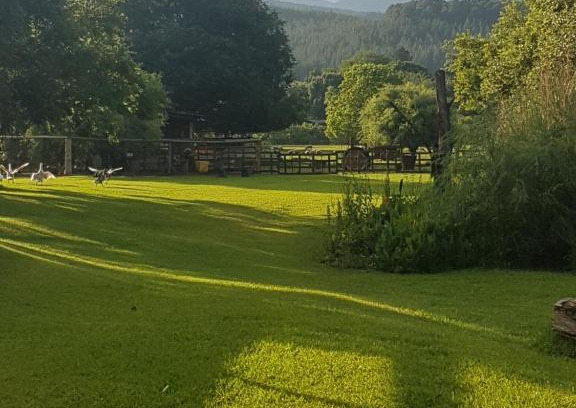 Sabie Apartment | Thandamanzi Self Catering