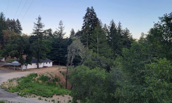 Scotts Valley Other | The Back 40