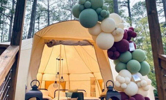 Lincolnton Cabin | The Bee's Knees (Tent)