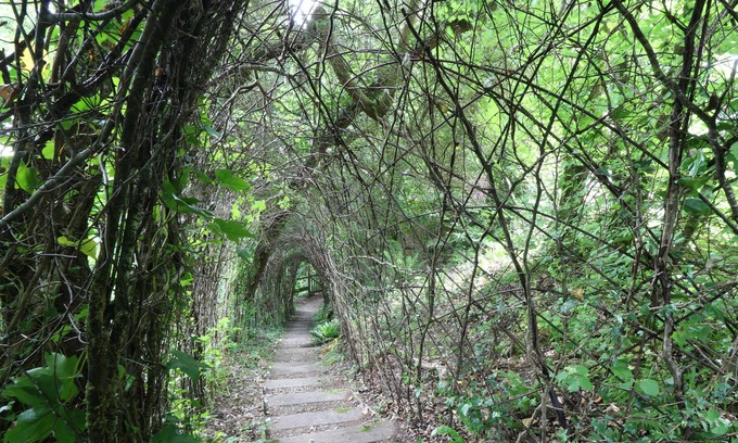 Okehampton Cottage | THE BIRD BOX, romantic, character holiday cottage in Okehampton