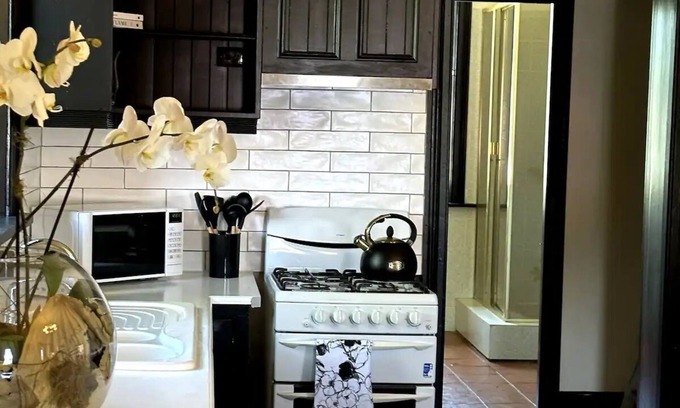 Mittagong Apartment | The Boston Ivy 1880 - The Residence