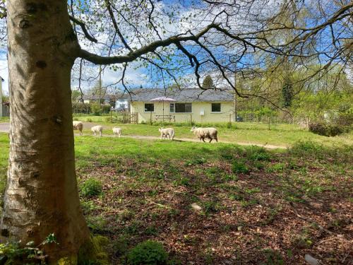 Ruardean House | The Bungalow, Forest of Dean