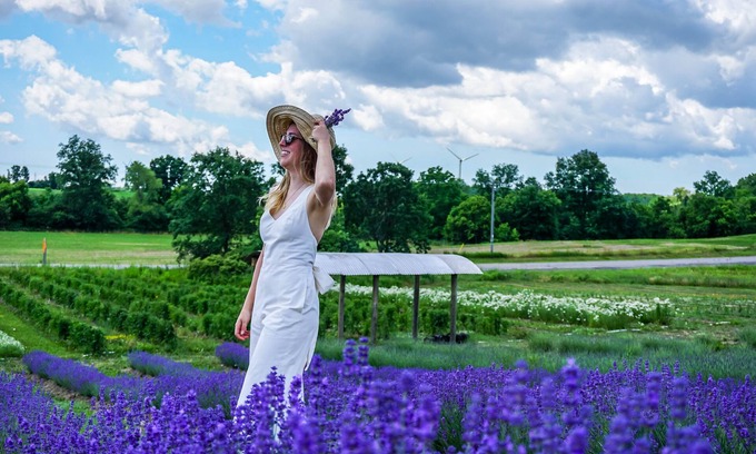 West Lincoln House | The Carriage House @ Mingle Hill