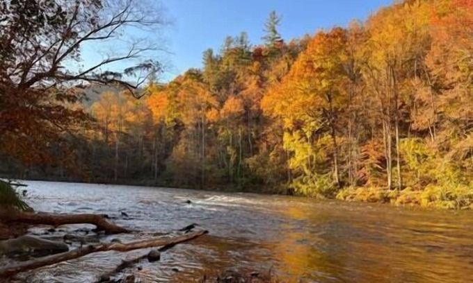 Newport House | The Cataloochee Tiny Home on the Pigeon River