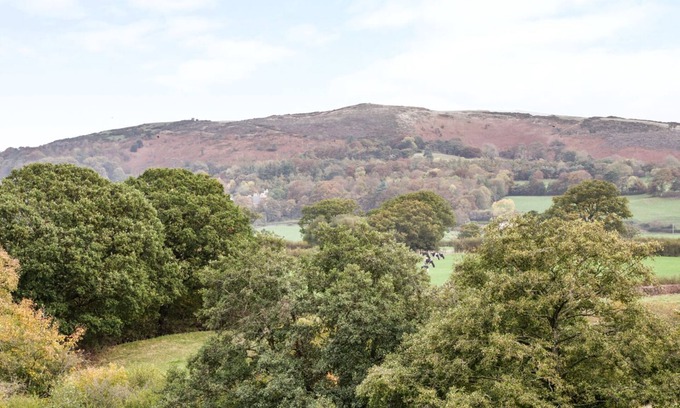 Saint Asaph Cottage | The Clydes
