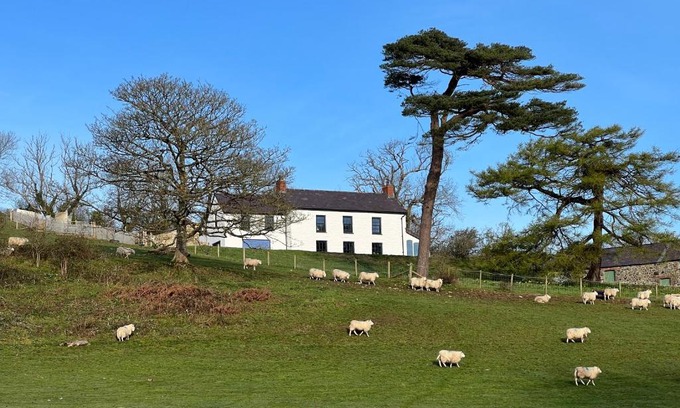Dinas Cross House | The Dyffryn