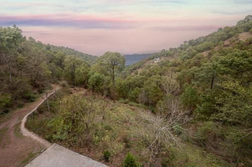 Kasauli Hotel | The Elegance Hotel Kasauli