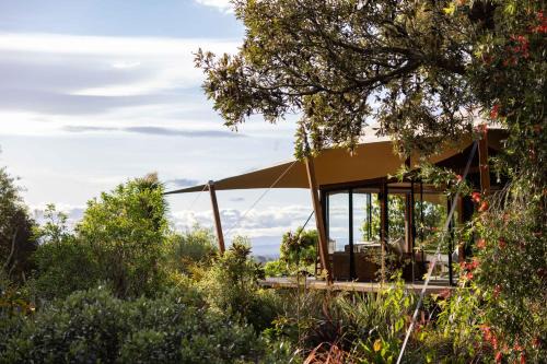 Havelock North Other | The Enchanted Retreat - Unforgettable Luxury Glamping