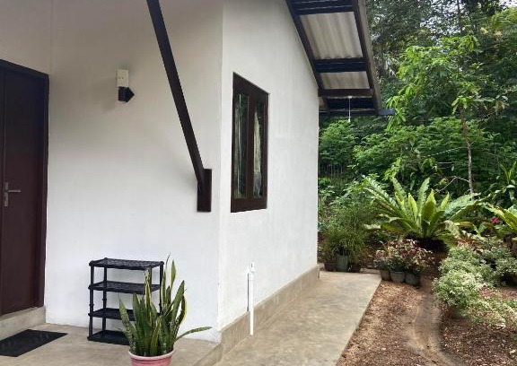 Midigama House | The Flora