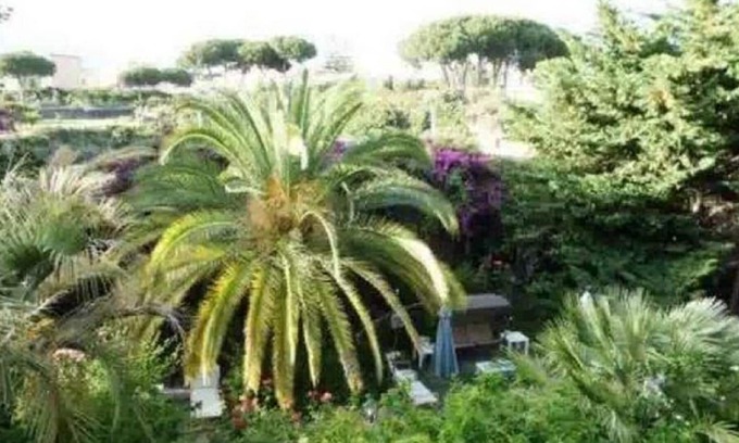 Trecase Villa | The garden of Villa Anna, Oplonti room sea view