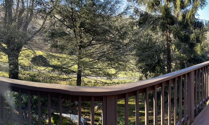 Sugar Mountain Condo | The Glen 60 3 Bedroom Condo by RedAwning