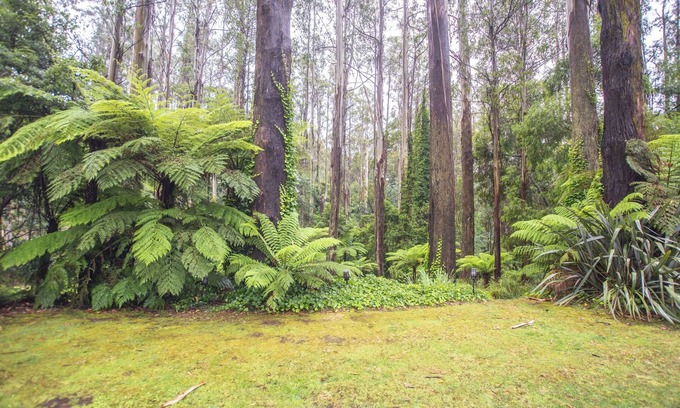 Mount Dandenong House | The Grand Lodge: Private rainforest with river