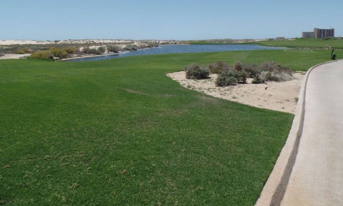 Puerto Penasco Villa | The Grand Mayan 2 Bedroom Master Suite
